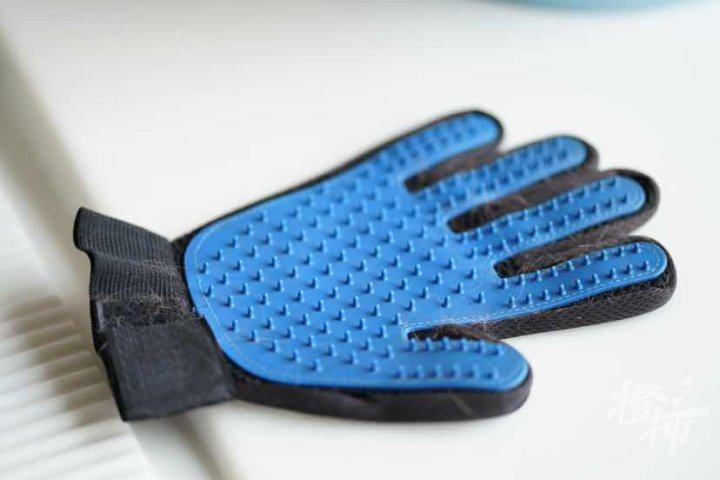 毛孩子掉毛如何处理,毛孩子掉毛怎么清理