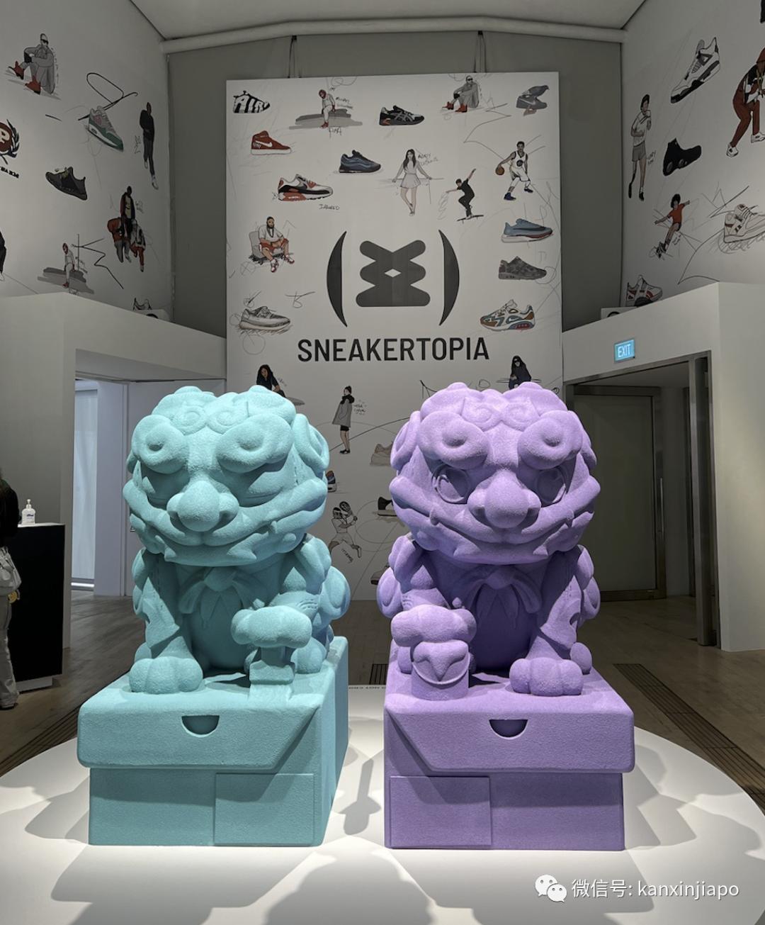 wtt新加坡大满贯在哪里看直播,wtt新加坡大满贯哪里看直播