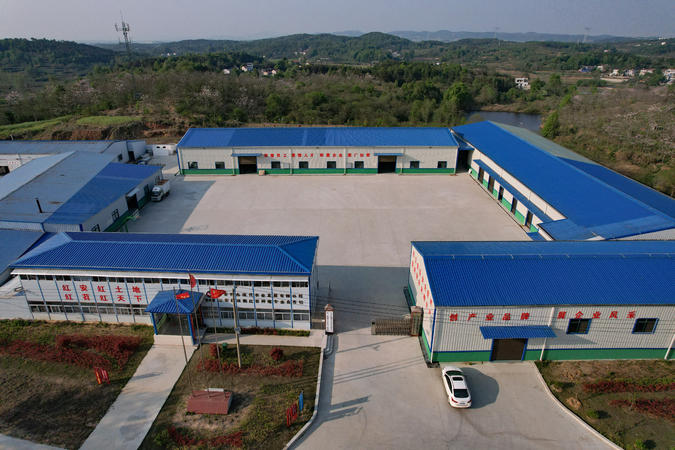 红安陈利辉：精益求精铸品牌，无悔青春助振兴