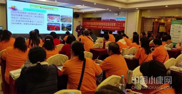 怎样在乡村振兴中激发人才活力,广东乡村人才培育行动