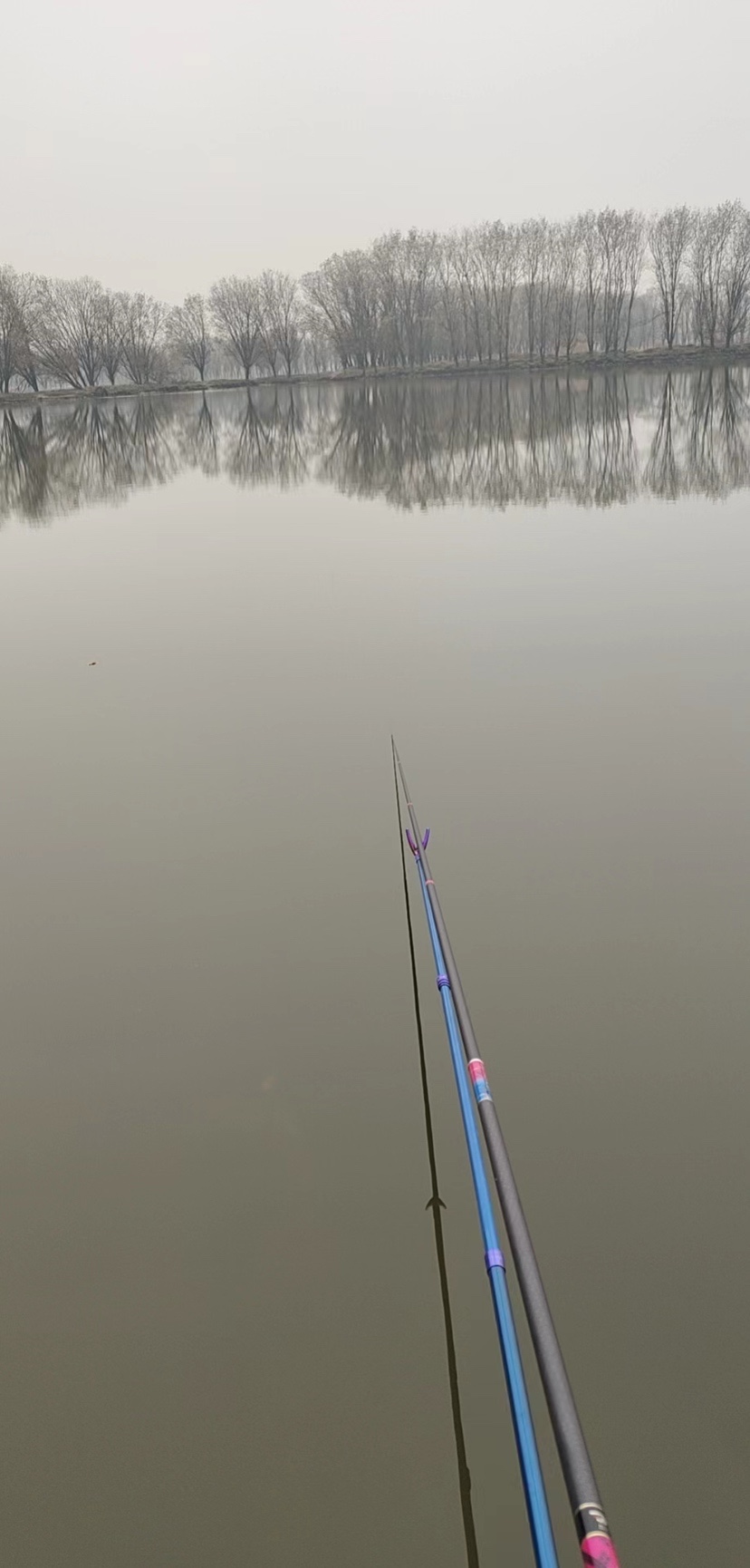 组团力战散养塘，结果令人太惊讶？