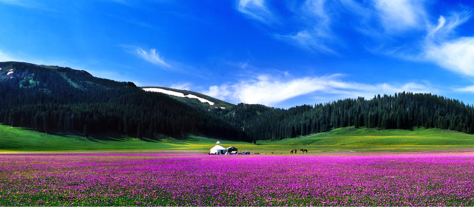 风景摄影大赛欣赏,国际风景摄影大赛金奖作品