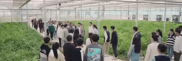 电影频道3月14日18:20播出《青春作伴好还乡》