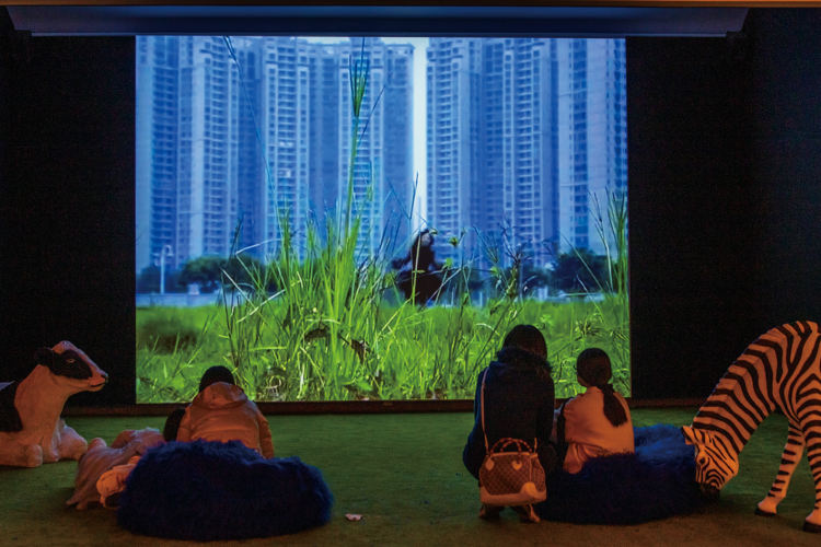 提前还贷是最好的理财,最好的理财就是提前还房贷