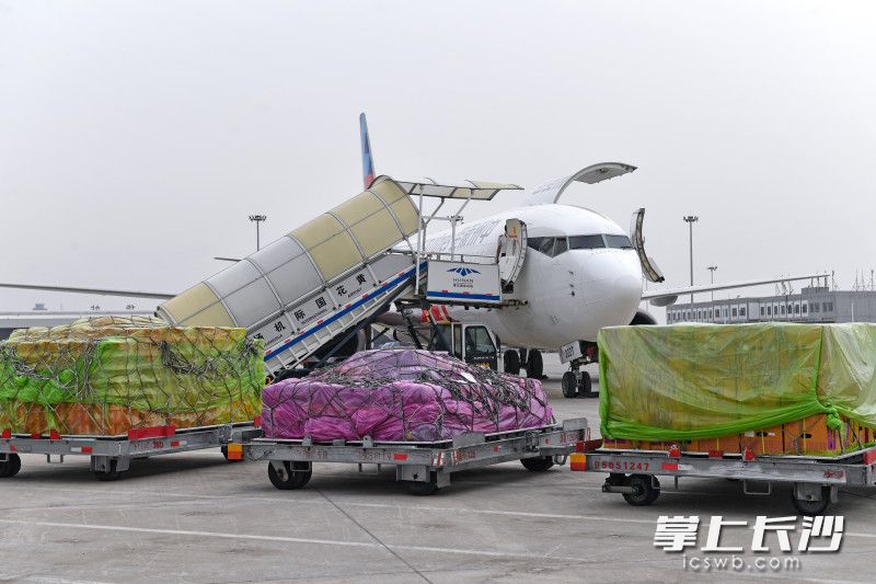 长沙直飞曼谷航线开通了吗,南航将开长沙至曼谷航线