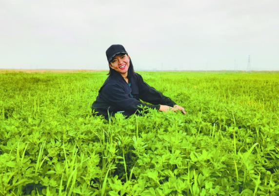 创业之“花”正芳菲