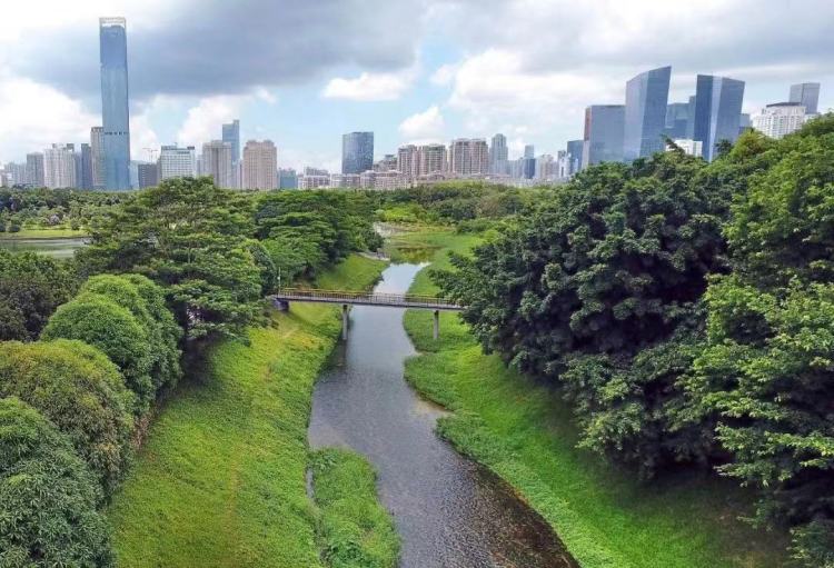 一起露营吧禾茂田园,一起露营吧广东话