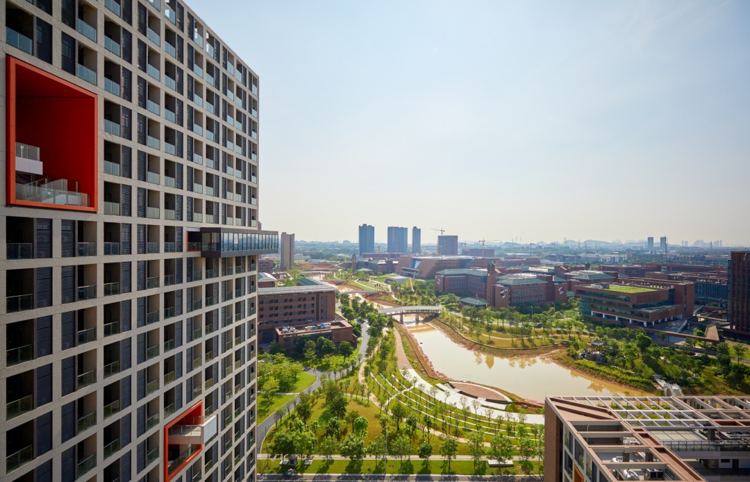 2016-2020双一流高校院士,国内双一流名校教授