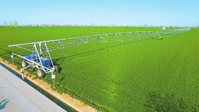 农科“芯”城初显“四梁八柱”