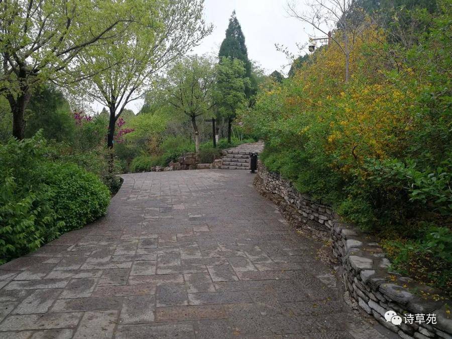 清明习俗和传说,清明传说和习俗