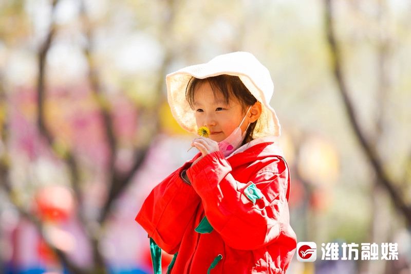 潍坊金宝乐园风景图片,潍坊金宝乐园游览图片大全