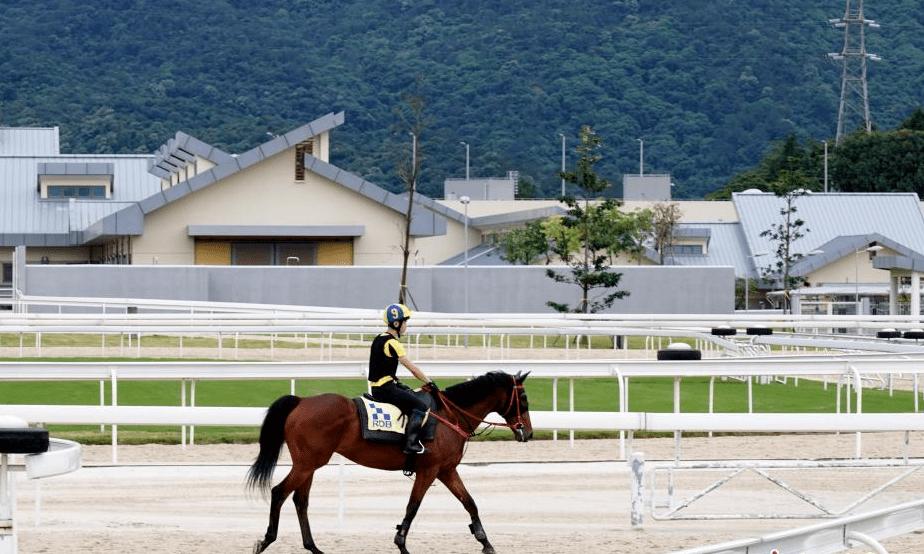 从化2021赛马比赛,2021从化赛马规划