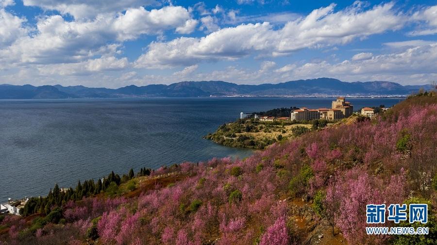 中老铁路国际货物列车,中老铁路跨境旅客列车