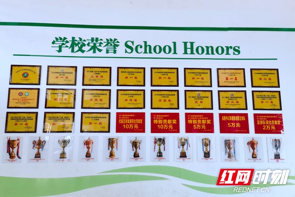 缁胯尩閫愭ⅵ娲诲姩,缁胯尩閫愭ⅵ