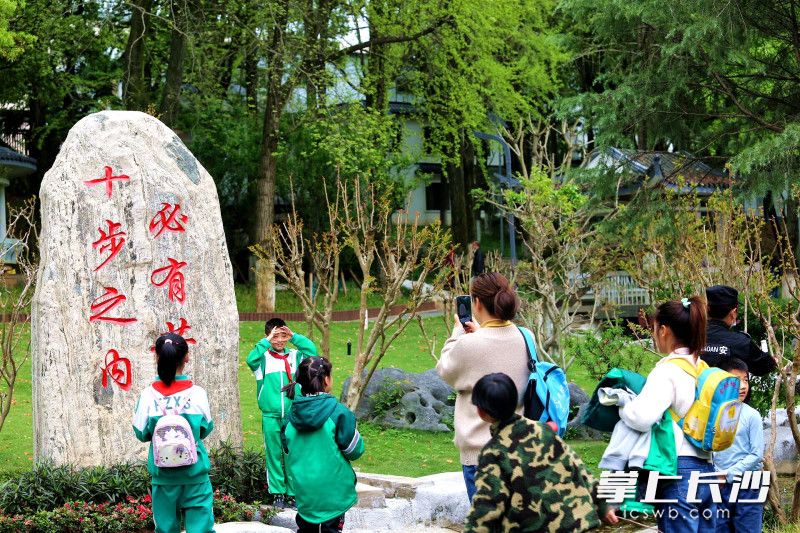 芳草园手绘地图,芳草优美落英缤纷图片