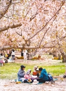 大连市文化旅游发展大会,大连人文化和旅游产业发展大会