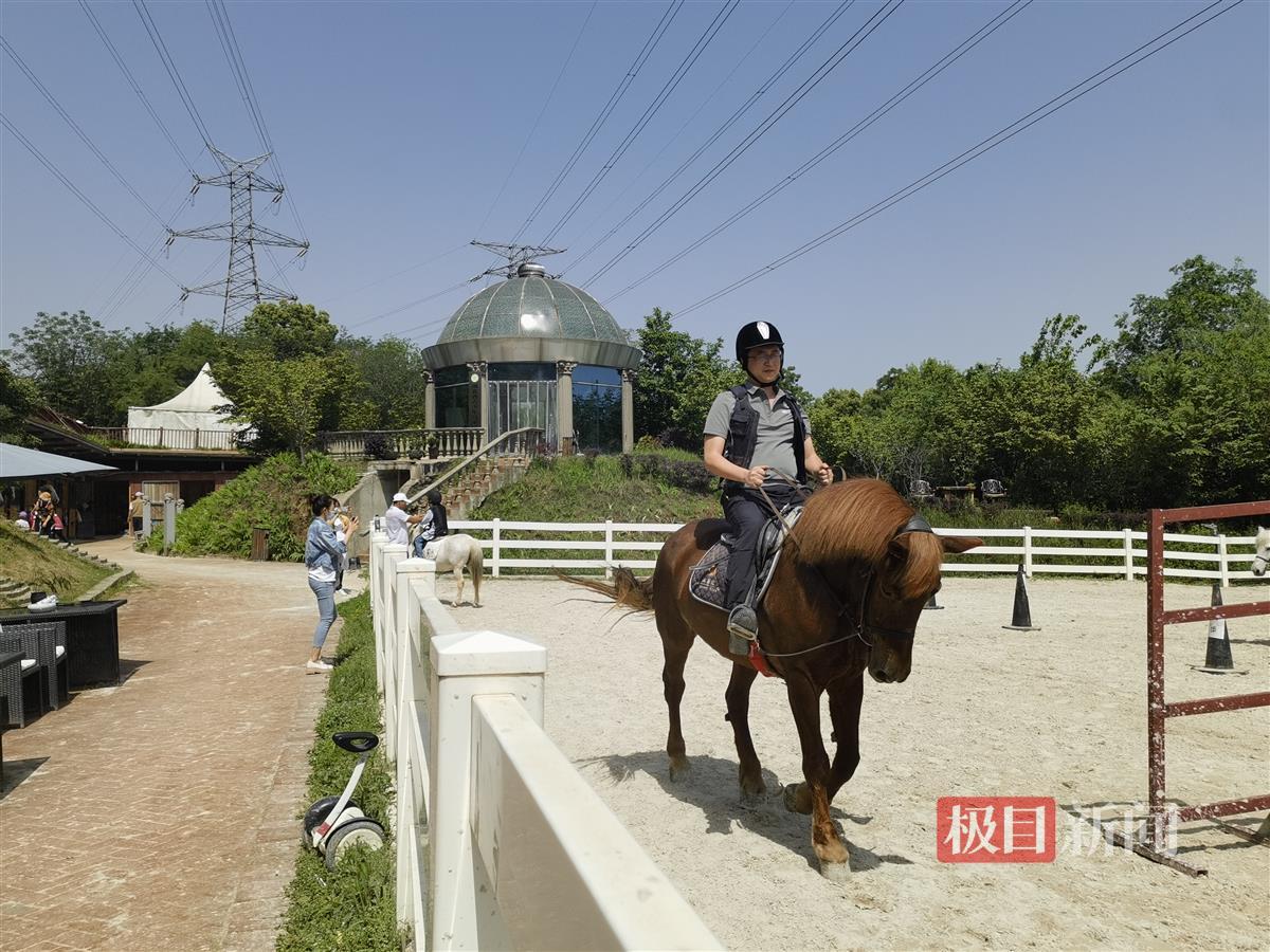 马术俱乐部马术培训,马上快乐