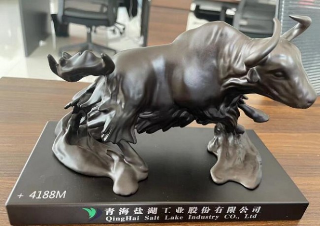 盐湖特立镁新材料有限公司,青海盐湖特立镁