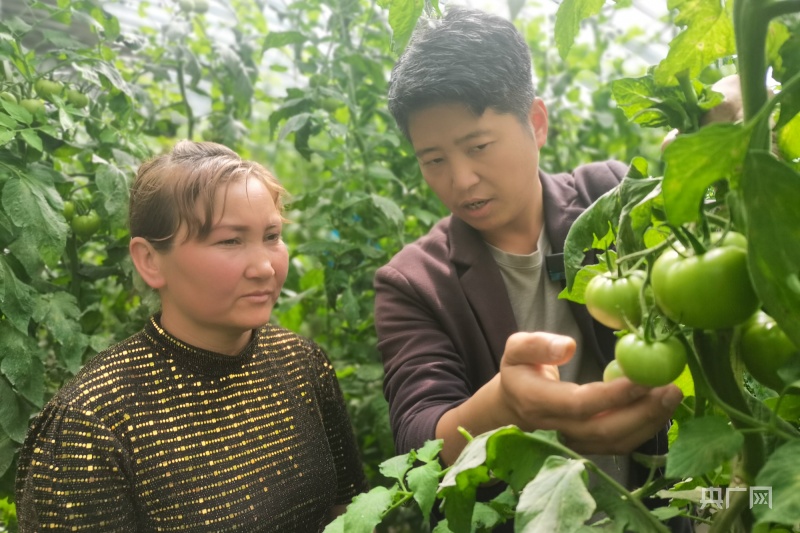 发展特色农业助力乡村振兴,乡村振兴富民兴疆