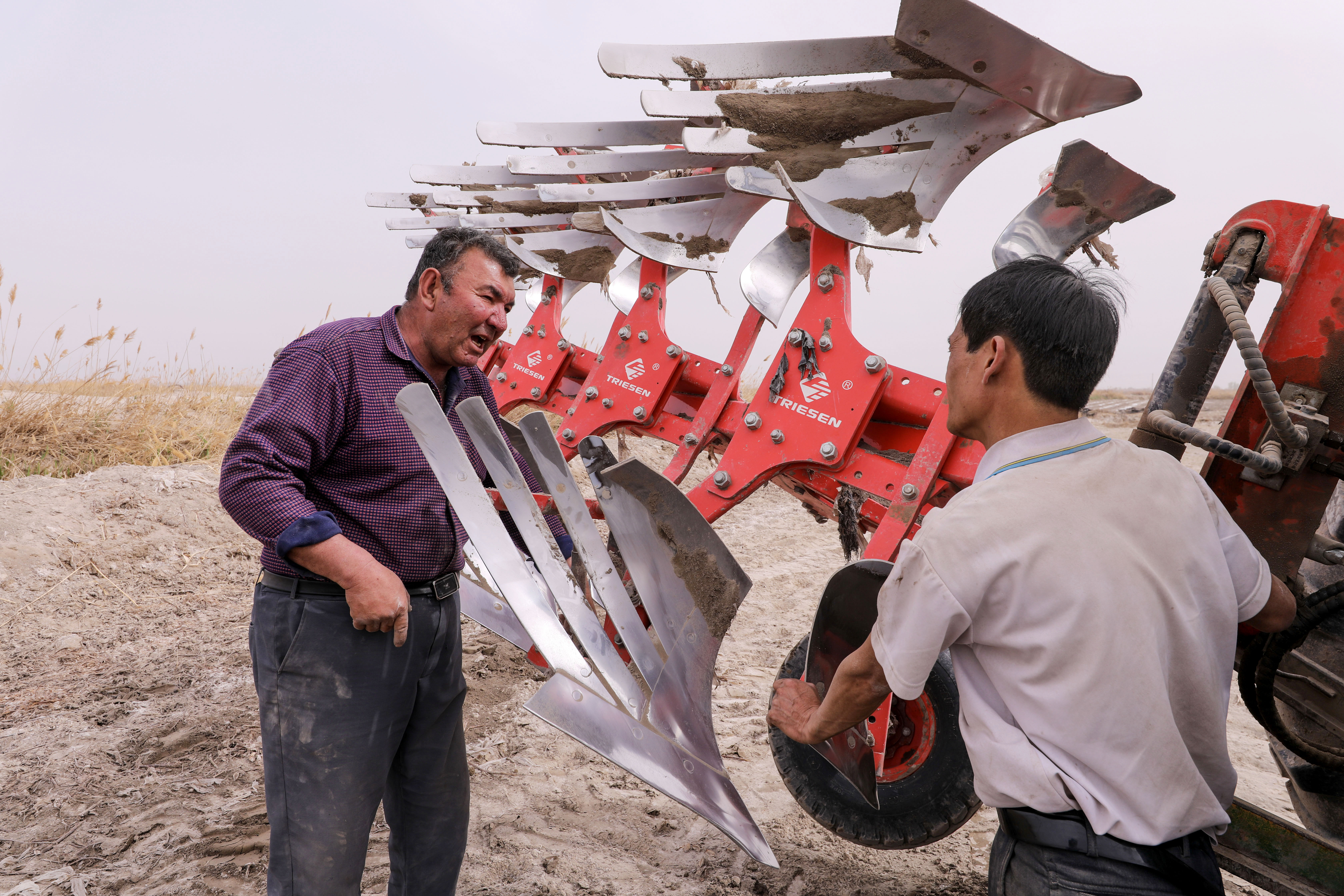 棉花本来的颜色,社会四季的变化