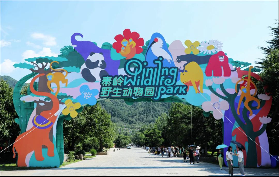 北京到西安秦始皇陵兵马俑攻略,秦始皇兵马俑景区直通车在哪坐