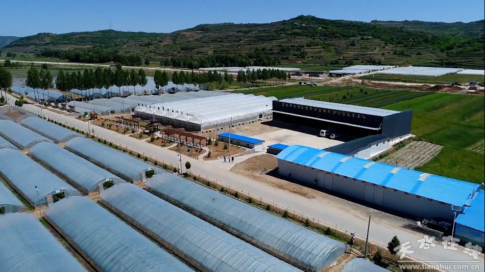 天水秦州区农业产业,秦州区现代农业发展