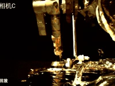 看国家队“挖呀挖呀挖”，唱最萌的歌谣，种最狠的花