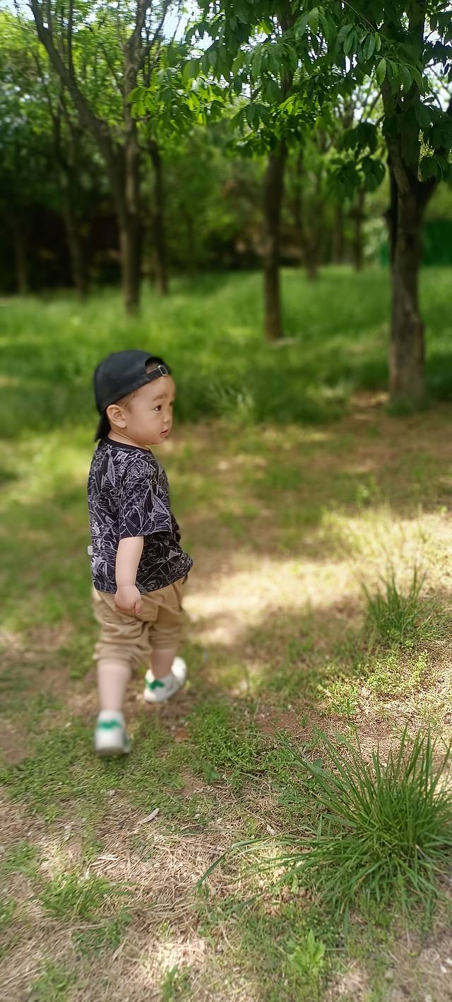 少林寺登封之旅,嵩山少林寺自由行