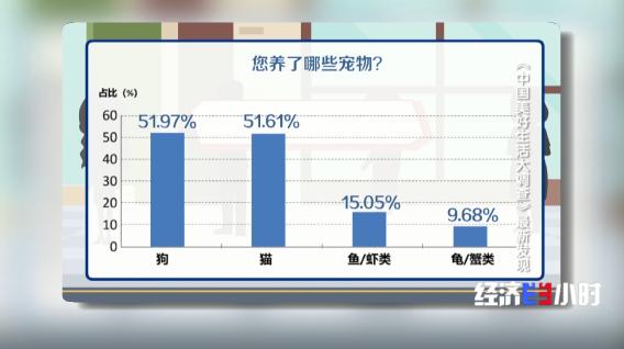 民生满意度调查问卷模板,民生实事调研问卷