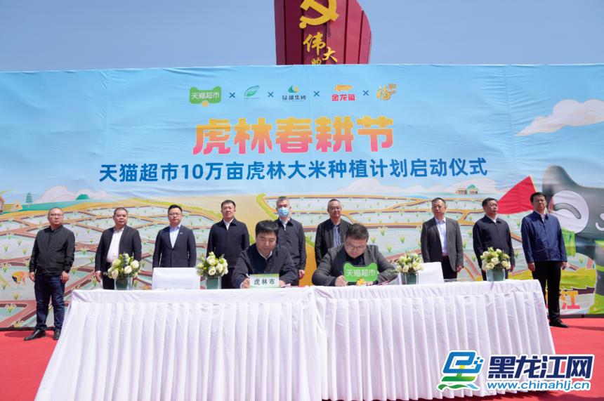 虎林庆丰农场大米,虎林大米直播