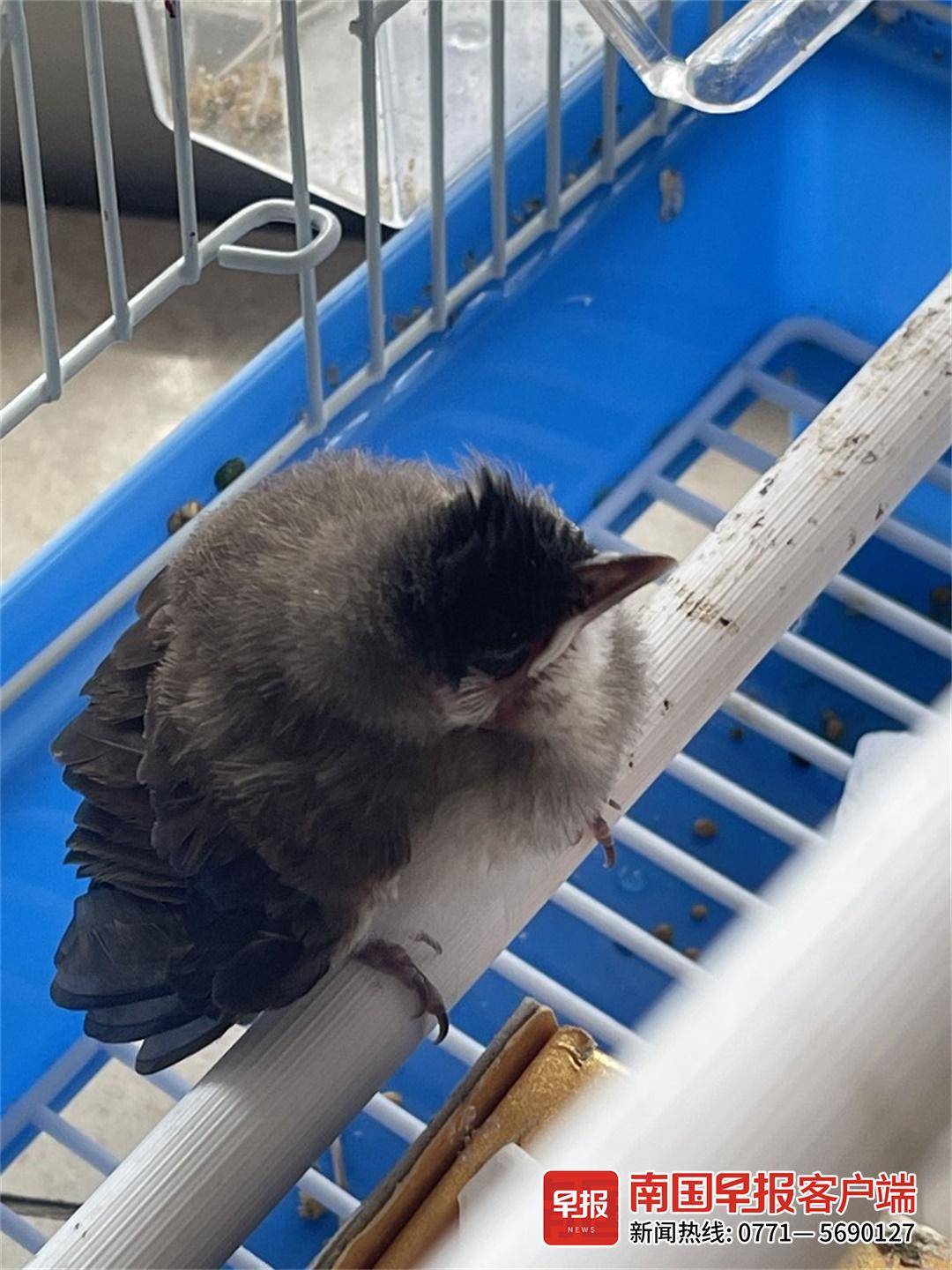 早读七点（2023.5.19）丨副镇长胁迫他人妻子发生关系？警方回应