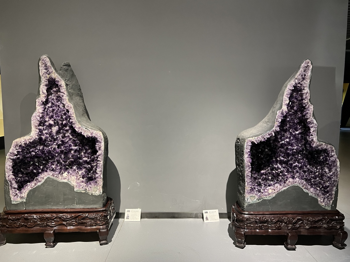 淄博傅山自然地质博物馆官网,淄博傅山自然地质博物馆