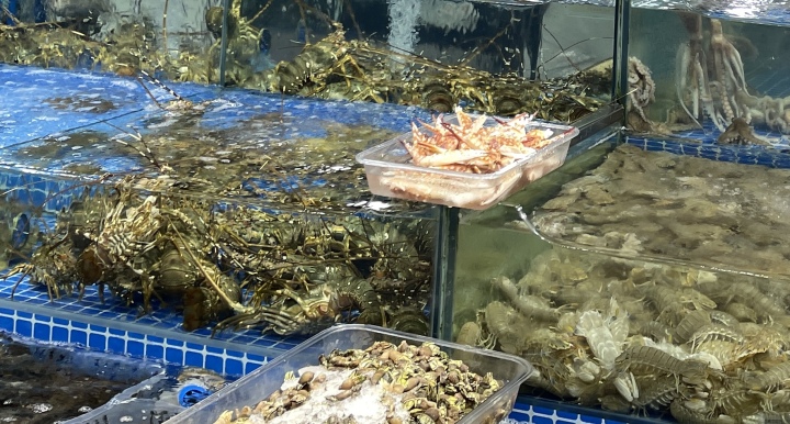 你买海鲜有没有被坑过,海鲜市场为什么买鱼带水称