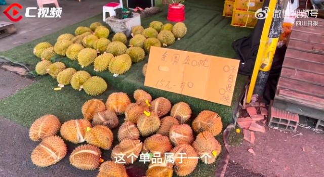 榴莲、兔头贵到上热搜？走，“美食特种兵”带你去云南吃实惠美食