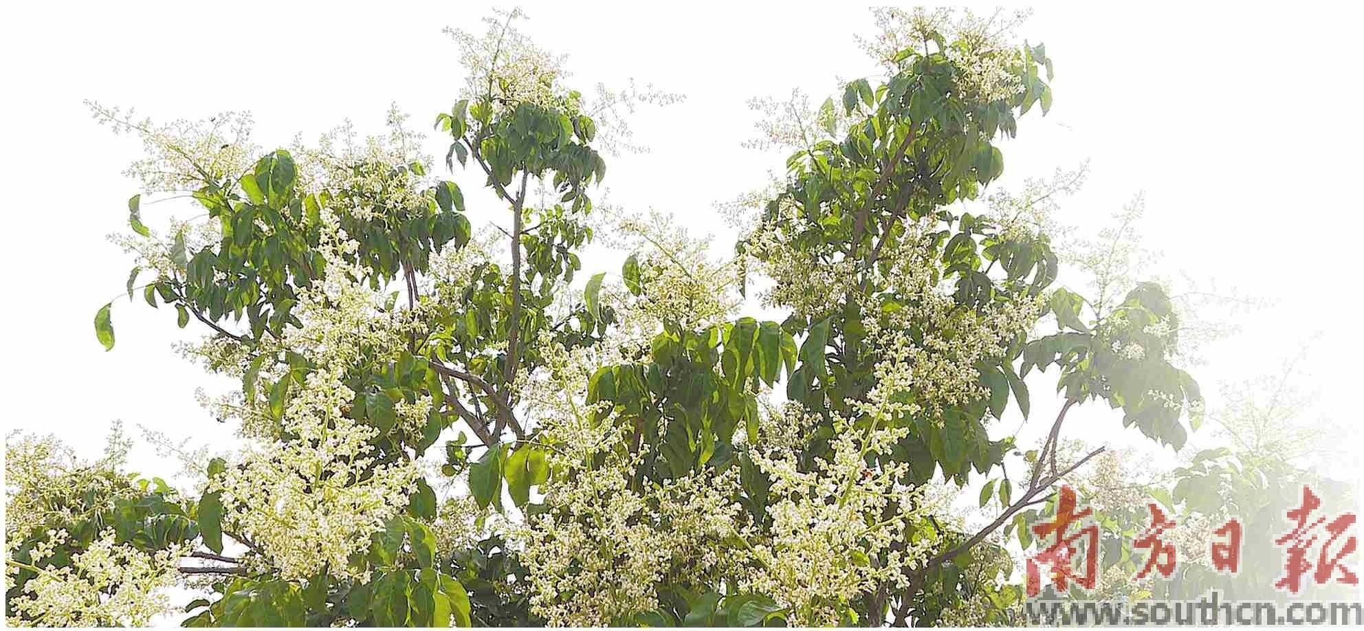 <html>
<head><title>502BadGateway</title></head>
<body>
<center><h1>502BadGateway</h1></center>
<hr><center>nginx</center>
</body>
</html>
<!--apaddingtodisableMSIEandChromefriendlyerrorpage-->
<!--apaddingtodisableMSIEandChromefriendlyerrorpage-->
<!--apaddingtodisableMSIEandChromefriendlyerrorpage-->
<!--apaddingtodisableMSIEandChromefriendlyerrorpage-->
<!--apaddingtodisableMSIEandChromefriendlyerrorpage-->
<!--apaddingtodisableMSIEandChromefriendlyerrorpage-->
