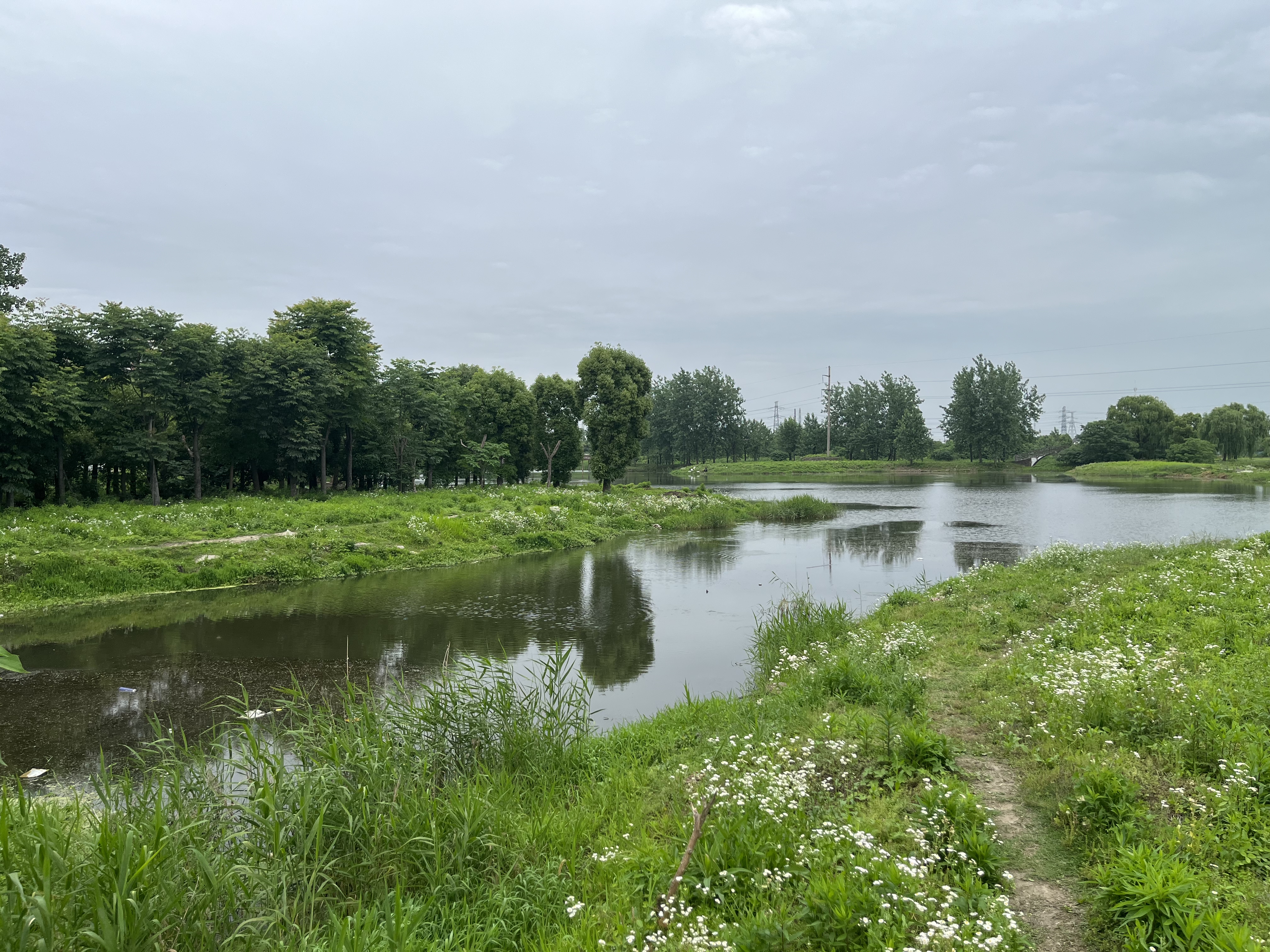 昔日高尔夫球场已变为公园,高尔夫球场将变身公园