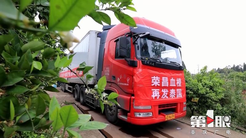 第1眼重庆广电消息,重庆广电官网