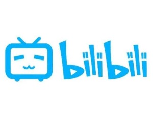 b站广告投放营业收入多少合适,b站up主接一单动态广告能赚多少