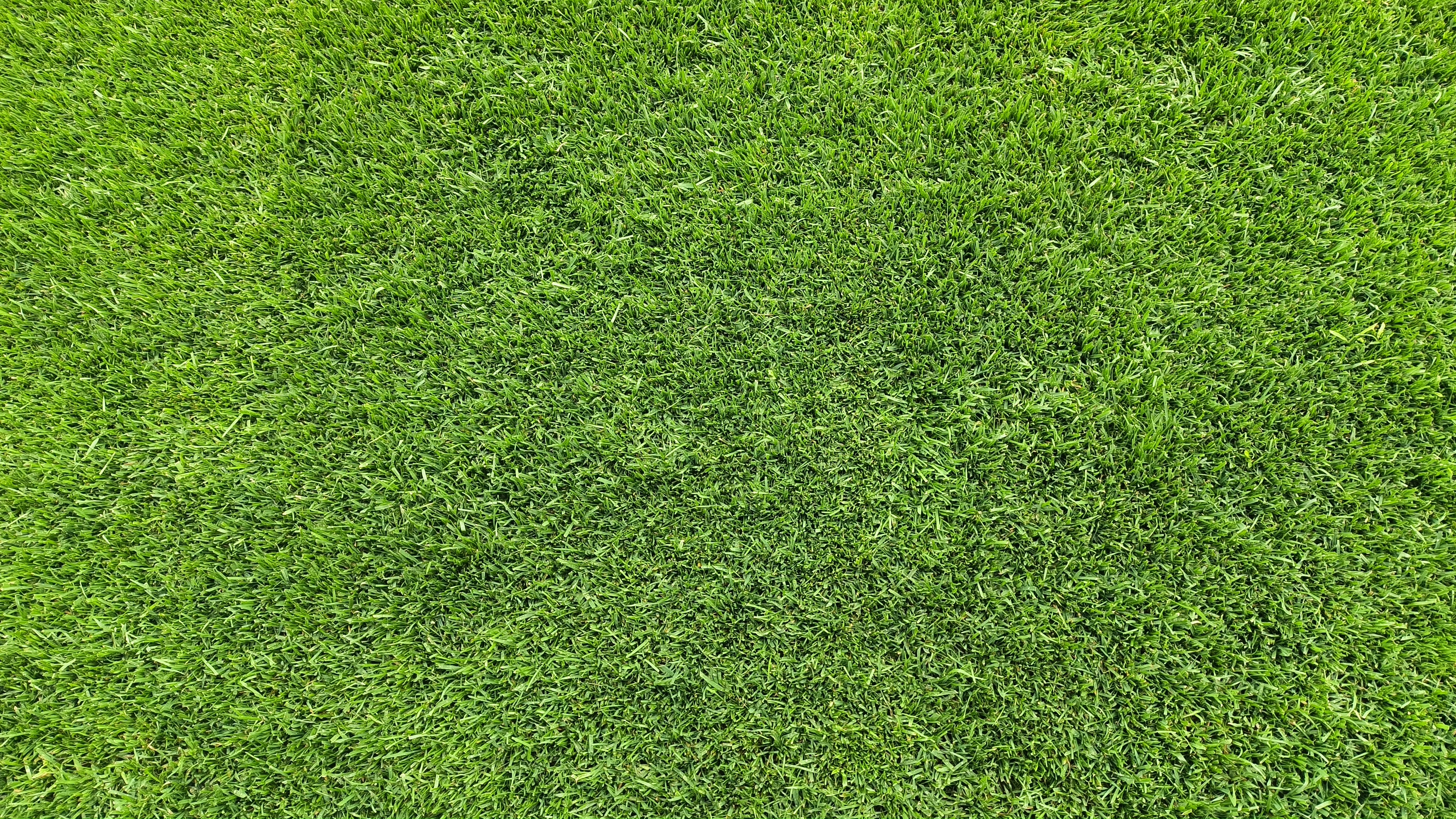 泰达回归时间表,泰达回归足球场