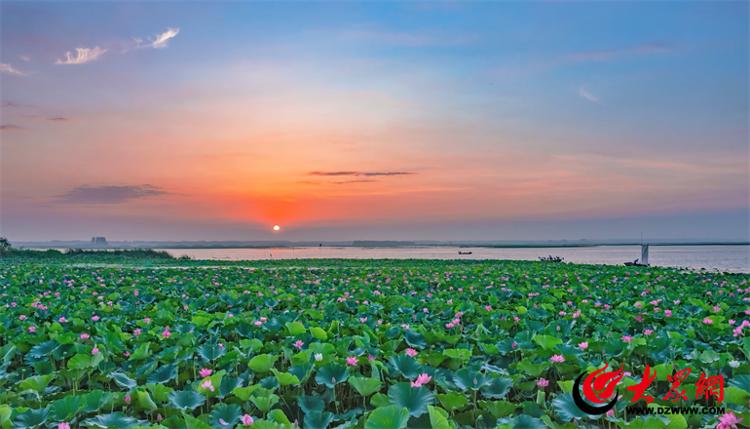 你要写济宁，就不能只写济宁