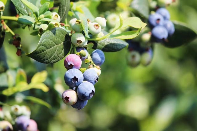 寻找100位寒门学子爱心助学,寻找励志学子每人奖1万