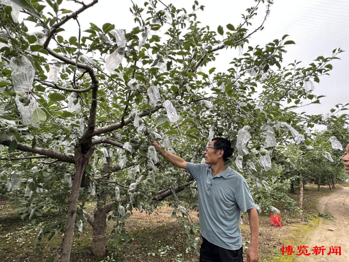 高青：“五彩”农业打开农民致富门