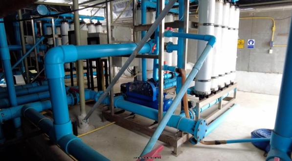 技术全曝光！无惧“玻璃苗”，虾苗整齐！这家40年历史的苗场做对了什么！