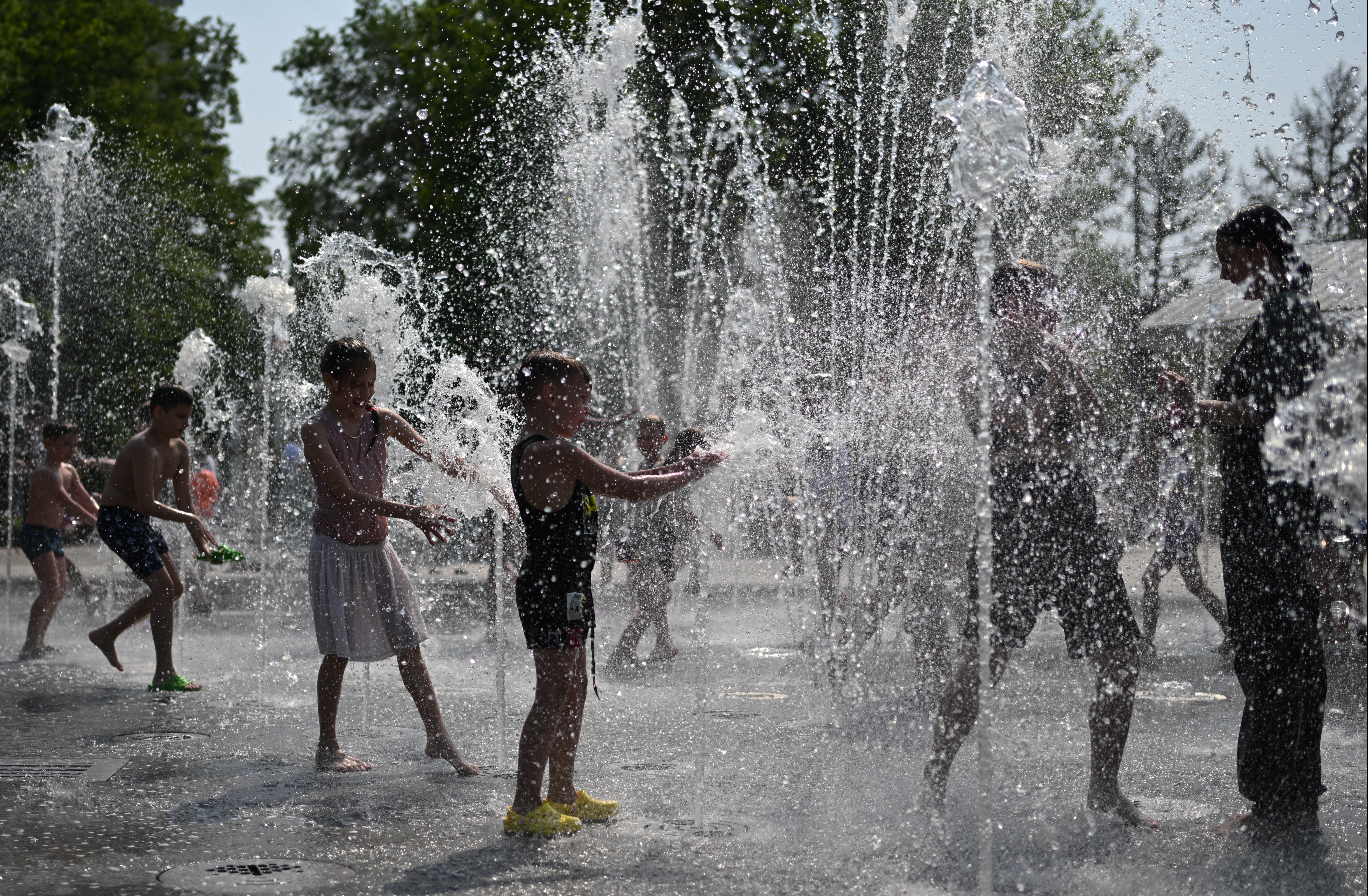 （外代二线）新西伯利亚的夏天