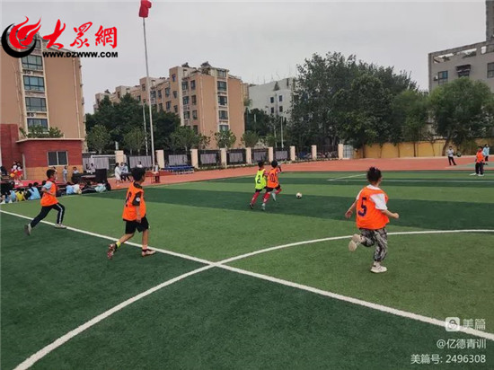 潍坊育才中学足球队,潍坊市奎文区育才小学足球