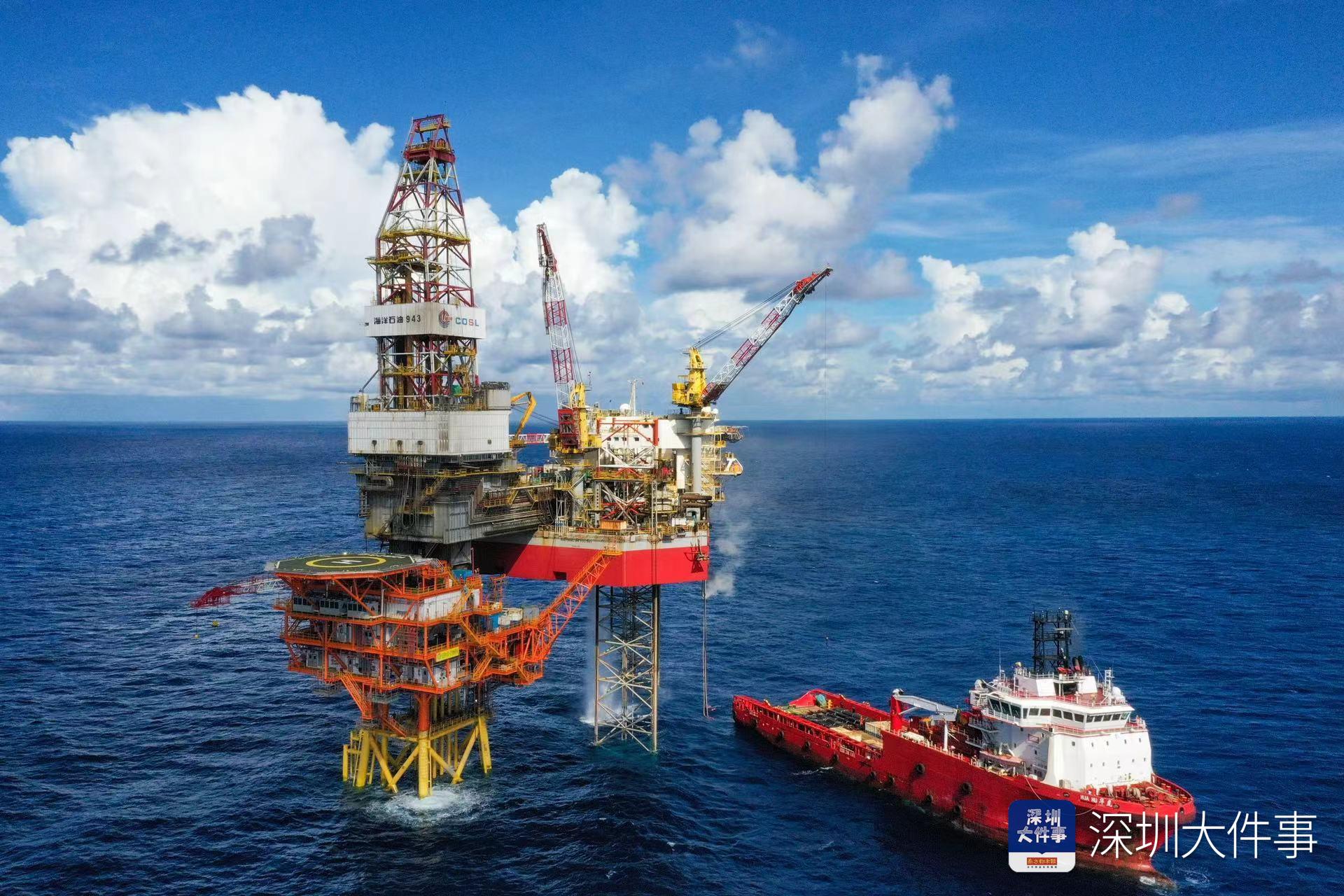 世界海洋日海豚,世界海洋日海豚守护