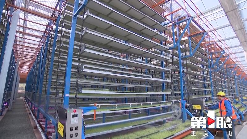 科技创新如何助力智慧农业发展,新技术助力实现智慧农业