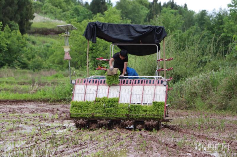 大宏图,大宏图渠县