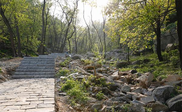 汉武帝泰山封禅之路,泰山东御道汉武帝