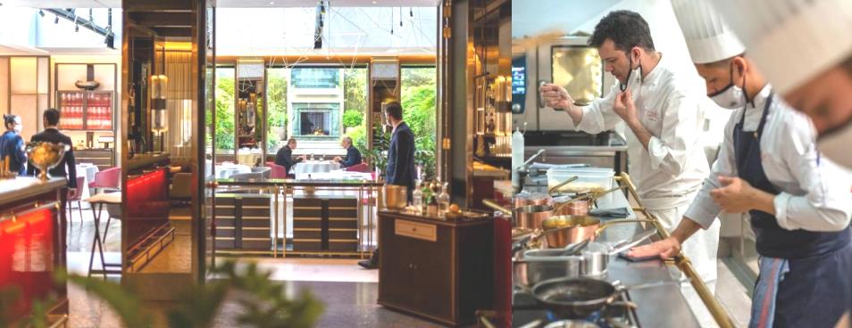 信阳毛尖杭州茶博会,倾城信阳毛尖